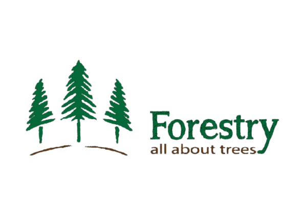 Forestry.co.ke