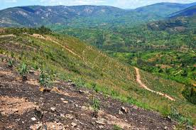Innovative Technique of restoring degraded landscapes by Seedballs Kenya