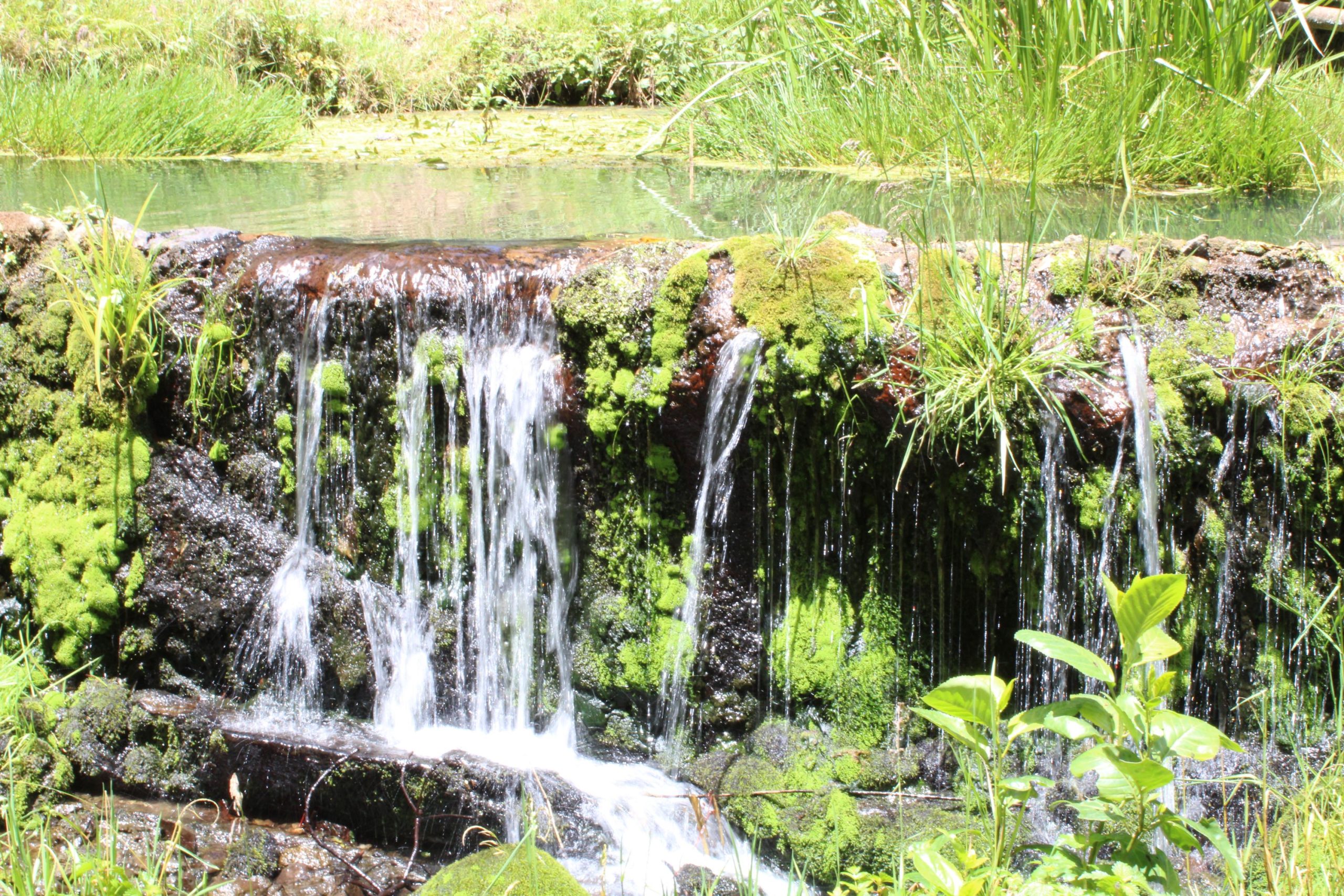 International Day for Biological Diversity 2023